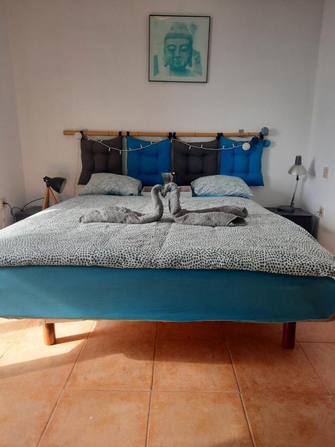 Sun & Surf Loft, Near Main Street And Beach, Wifi Fiber, Winter Garden With Sea View Corralejo Bagian luar foto